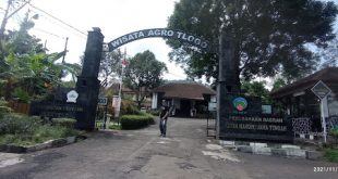 Wisata Agro Tlogo