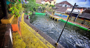 Kolam Renang Tirta Lega - Regol